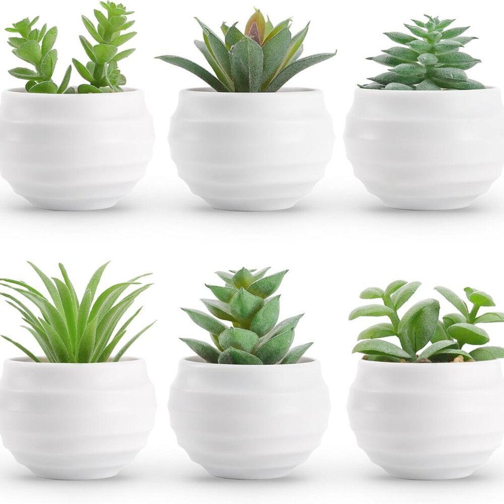 Set of 6 Succulents Plants Artificial in Pots Small Fake Plants for Bedroom Aest